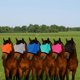 thumbnail image 2 of Máscara antimoscas para caballo Yuuigar con protección UV, transpirable y ajustable, 2 of 9