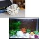 thumbnail image 5 of Ornamento de coral Besimple 14x12x8 cm, paquete de 2, resina, 5 of 9