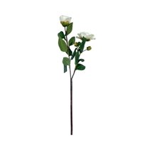Corel - Camelia Blanca 52Cm