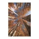 thumbnail image 3 of 1x tapices decorativos 3d tapiz colgante de pared diy para interiores n al aire libre, 3 of 3