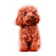 thumbnail image 5 of Los Niños De La Almohada De La Felpa De Los Animales 3D Acompañan Los Juguetes Para El Perro Masculino Del Coche De La Sala De Estar Del Favor Del Partido, 5 of 5