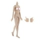 thumbnail image 3 of Figuras De Cuerpo Femenino Flexibles A Escala 1/6, Piel Normal De Juguete Para Busto Pequeño TTM18 TTM19, 3 of 3