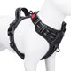 thumbnail image 1 of Chaleco reflectante PHOEPET con clip frontal y asa para perros, talla M, 1 of 6