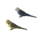 thumbnail image 4 of 2 piezas miniatura animales aves modelo estatuilla estatua Scupltue juguete loro, 4 of 5