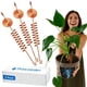 thumbnail image 1 of Kit De Antenas De Electrocultura Para Jardinería De Cobre 3 Unidades, 1 of 9