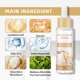 thumbnail image 2 of Dúo de Ampollas Serum DR.Seya Peel Shot Glow Rice 80 ml, 2 of 9
