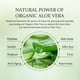 thumbnail image 4 of Gel de aloe vera Aloderma, 96% orgánico, 200 ml, hidratante facial, 4 of 9