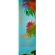 thumbnail image 2 of Perfume Lancaster Summer Splash Eau de toilette, 100 ml, 2 of 3