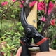 thumbnail image 5 of Tijera de podar Gonicc 8 Professional Premium Titanium GPPS-1003, 5 of 8