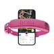 thumbnail image 1 of Valla inalámbrica para perros y collar GPS Halo Collar 5 Orchid, 1 of 7
