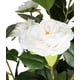 thumbnail image 2 of Planta Artificial Sintética Decorativa Moderna Hogar Jhn, 2 of 3