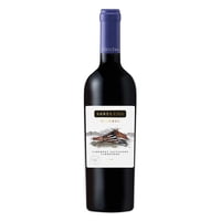 Vino Tintoensamblaje Blend Reserva Botella 750 Ml Santa Ema