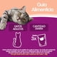 thumbnail image 5 of Alimento Húmedo Gato Adulto Sabor Salmón Pouch, 5 of 8