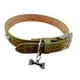 thumbnail image 1 of Collar Para Perros O Gatos Hueso Verde M, 1 of 3