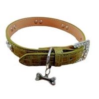 Genérico - Collar Para Perros O Gatos Hueso Verde M
