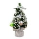 thumbnail image 5 of Pack de 3 Arbolitos de Navidad Mini de 22 cm, 5 of 7