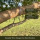 thumbnail image 2 of Protector colgante para ramas de árbol Songbird Essentials, 36 cm, 2 of 9