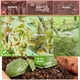 thumbnail image 5 of Contenedor de Compost Outsunny de 360° con Doble Cámara de 163L para Exterior, 5 of 9