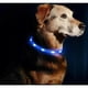 thumbnail image 3 of Collar Led Para Perro Recargable 50 Cms Azul, 3 of 3
