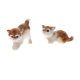 thumbnail image 3 of 2 piezas precioso realista gato real de piel peluda animal decoración del hogar embroma los regalos, 3 of 5