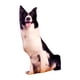 thumbnail image 4 of Animales Felpa Pilllow Niños Acompañan Juguetes Para Cosplay Dormitorio Regalos De Cumpleaños M, 4 of 5