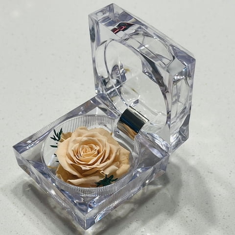 Allpa-Roseamor - Joyero Mini Con Rosa Preservada Natural Durazno