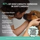 thumbnail image 2 of Ambientador Dental En Polvo Para Perros 30 Porciones, 2 of 9