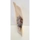 thumbnail image 3 of HealinGifts Palo de Brasil Astillas de Madera de Bosque 28g, 3 of 6