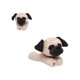 thumbnail image 1 of Mini Peluche Beans Pug Build-A-Bear, 1 of 2