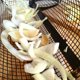 thumbnail image 2 of 1pc, BBQ Net Tube, Grill Basket, Barbecue Bag, For Fish, Vegetables, And More, Barbecue Tool, Kitchen Gadgets, Kitchen Accessories, Home Kitchen Items, Outdoor Decor, 2 of 4