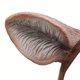 thumbnail image 4 of Diadema con forma de cuerno y oreja de ciervo para adultos, 4 of 6