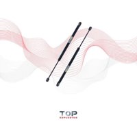 Daher Boge - Par Amortiguadores Portalon Jeep Compass 07/17