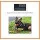 thumbnail image 4 of Pelota de entrenamiento para perros The Nero Ball Pro de goma con cuerda, 4 of 8