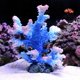 thumbnail image 1 of Coral para Acuario Besimple 14,5 × 13 × 16 cm – Decoración de Poliresina, 1 of 7