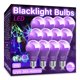 thumbnail image 1 of Bombilla LED negra mfxmf A19 de 9 W (equivalente a 100 W), paquete de 12, 1 of 6