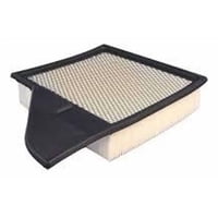 Filtro De Aire Ford Mustang 5.0 2005-2014 Motorcraft