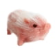 thumbnail image 2 of Lovely Silicone Realistic Piglet Full Body Silicon Sensory Toy Para Halloween Pink, 2 of 3