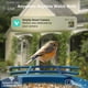 thumbnail image 2 of Comedero para pájaros con cámara, cámara inteligente con energía solar 2K, 2 of 8