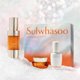 thumbnail image 2 of Set para el cuidado de la piel Sulwhasoo, sérum renovador concentrado de ginseng, 2 of 6
