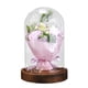 thumbnail image 1 of Ilumina La Rosa En La Cúpula De Cristal Luz LED Flor Artificial Para Mujeres Regalo De Mamá, 1 of 5