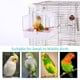 thumbnail image 5 of Baño para pájaros Colorday 17x17x20 cm para jaula de loros, 5 of 7