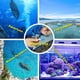 thumbnail image 5 of Refractómetro Agriculture Solutions Salinity Sea Water 0-100 PPT, 5 of 9