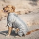 thumbnail image 5 of Chaqueta de invierno para perros Pet Life® Dog Helios 'Thunder-Crackle', 5 of 9