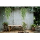 thumbnail image 2 of Set 2 Plantas Ramo Arbusto Artificial Ramo Colgante Lau, 2 of 3