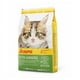 thumbnail image 1 of Alimento Gatito Kitten 2 Kg, 1 of 2