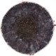 thumbnail image 3 of Béisbol Rawlings RLLB1, competencia de ligas menores, grado 14U, 3 of 7