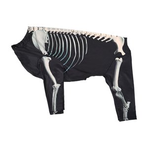 Ioensy - Disfraz De Perro Esqueleto De Halloween Disfraz De Mascota Para Cachorro Gatito Festival Holiday 2Xl