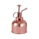 thumbnail image 3 of 300ml Metal Planta Flores Regaderas Olla Pulverizador Botella Pulverizador Oro Rosa, 3 of 5