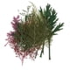 thumbnail image 1 of Flores secas naturales prensadas hojas arte arte 24pcs, 1 of 5
