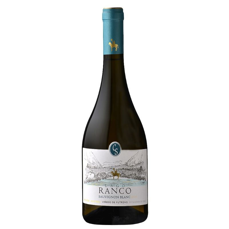 Vino Blanco Sauvignon Blanc Botella 750 cc Casa Silva